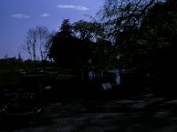 Syon Park London 3